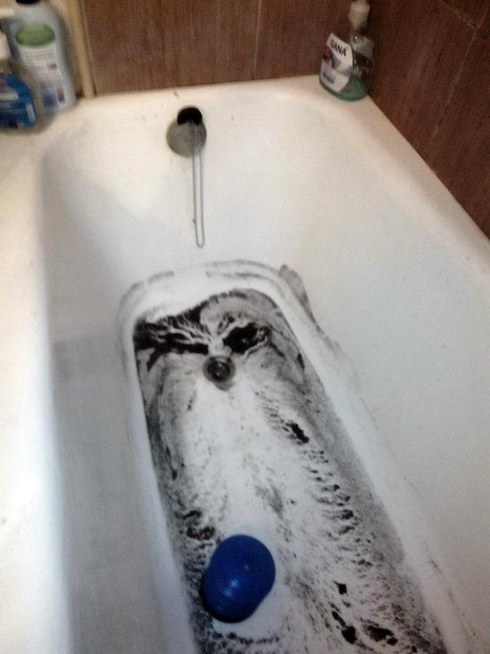 Грязь в ванной из-за засора